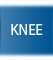 Knee - Michael Bahk MD - Orthopedic Surgeon
